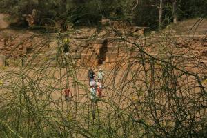 Les Ruines de Tipasa