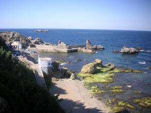 Port de Corso à Tipaza
