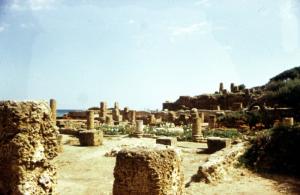 La Cité Romaine de Tipaza