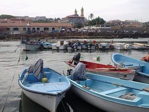 Port de Pêche de Tipaza