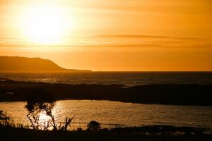 La Côte du Mont Chenoua (Tipaza)