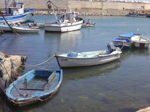 Port de Tipasa