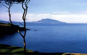 En route vers Tipaza (Vue sur Chenoua)