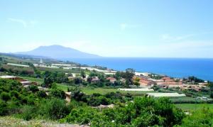 La Beauté de Tipaza au Printemps