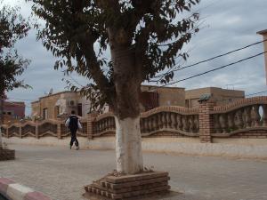 Une allée de Tipaza