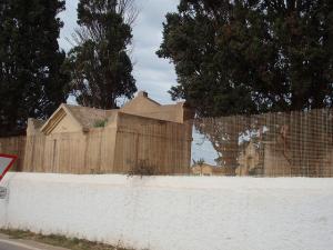 Cimetière chrétien de Tipaza