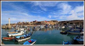 Le Port de Pêche de Tipaza