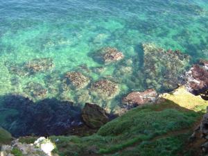 Pureté de la Mer à Tipaza