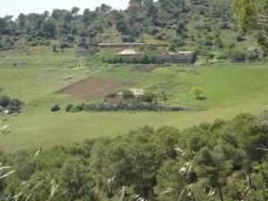 Douar Benrahmoun de SIDI-AMAR  Wilaya de Tipaza