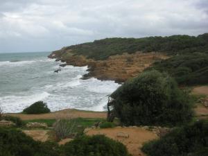 La Cité Romaine sur la Côte de Tipaza