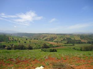 Oued Bou Yersene (Tipaza)