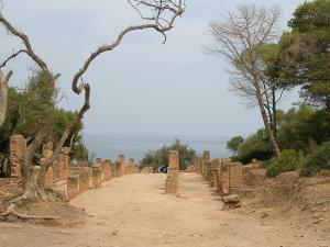 Vestiges Romains de Tipaza