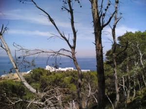 Parc de loisirs de Tipaza