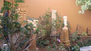 Musée Romain de Tipaza