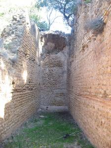 Vestiges Romains à Tipaza