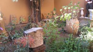 Vestiges Romains au Musée de Tipaza