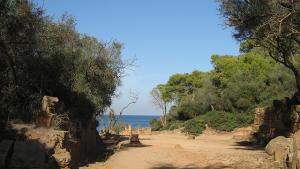 Patrimoine Romain de Tipaza