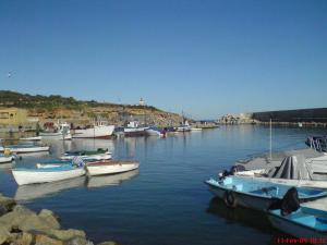 Port de Pêche de Tipaza
