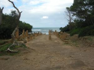 Les Colonnades Romaines de Tipaza