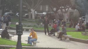 Au Centre Ville de Tipaza