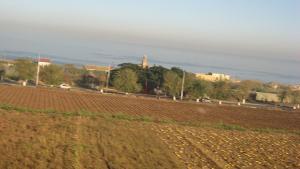 Champs agricoles de Tipaza