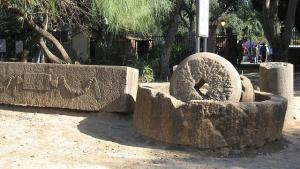 Vestiges Romains de Tipaza