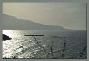 Mont Chenoua à Tipaza