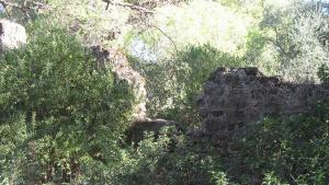 Vestiges Romains de Tipaza