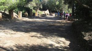 Site de Monuments Romains à Tipaza