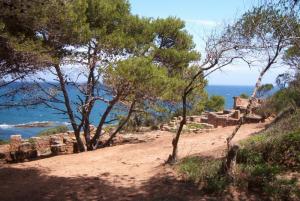 Patrimoine Romain à Tipaza