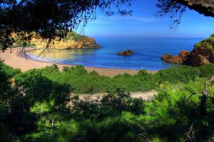 la Crique de Gouraya (Wilaya de Tipaza)