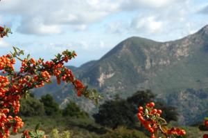 Aghbal  Zadra l'automne