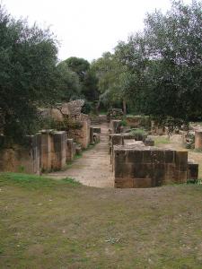 La Cité Romaine de Tipaza