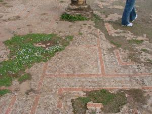 Mosaïques Romaines à Tipaza