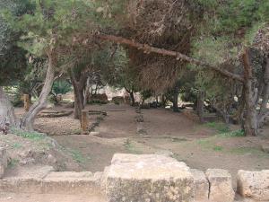 Vestiges Romains de Tipaza