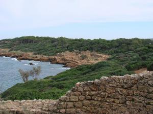La Cité Romaine de Tipaza