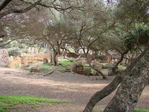 Patrimoine romain de Tipaza