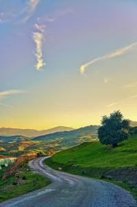 Le Printemps à Tipaza