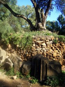 Les Ruines Romaines de Tipaza