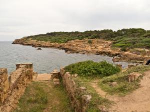 La Cité Romaine de Tipaza envahie parles touristes