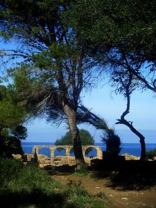 Arcatures dans la Cité Romaine de Tipaza