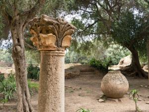 Colonnade Romaine à Tipaza