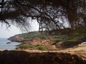 Vestiges Romains de Tipaza