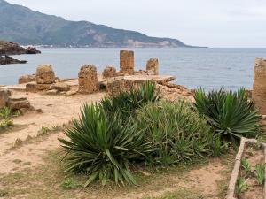 Vestiges Romains de Tipaza
