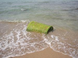 Colonne Romaine sur une Plage de Tipaza
