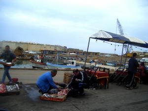 Marché de Poisson près du port de pêche de Tipaza
