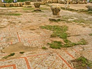 Mosaïque Romaine sur le dallage (Wilaya de Tipaza)