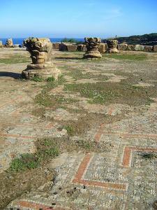 Mosaïques Romaines à Tipaza