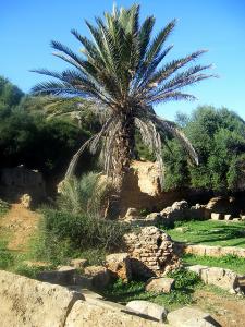 Les vestiges Romains de Tipaza