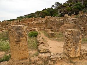 La Cité Romaine de Tipaza